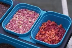 Drennan DMS 1 Pint Modular Bait Box -Fishing Verkoop 1606418736